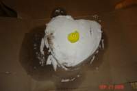 dsc02155_small.jpg