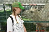 dsc01860_small.jpg