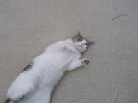 photo27_small.jpg