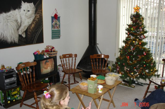 fireplaceinthelivingroom.jpg