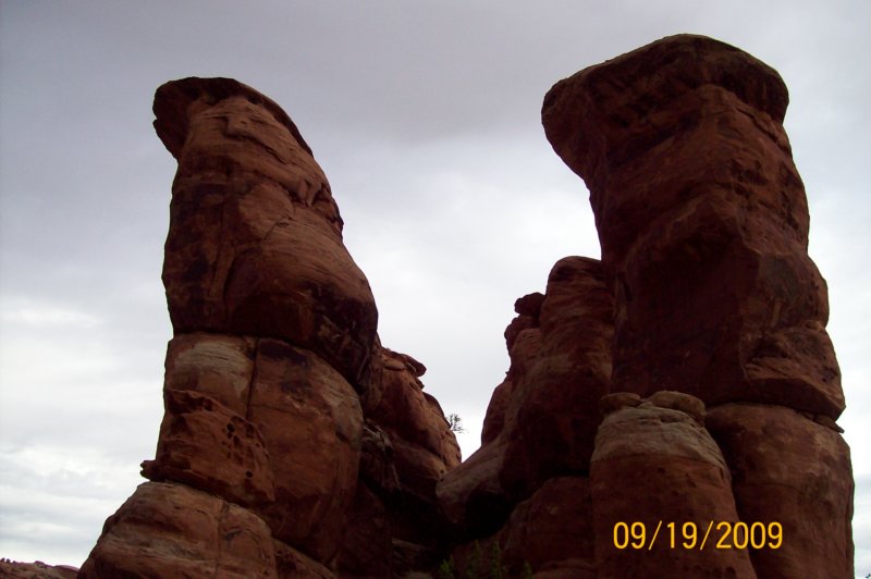 _1248.jpg