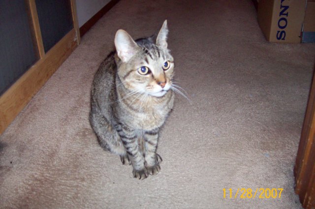 photo17.jpg