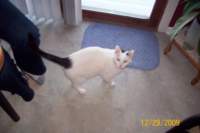 _1597_small.jpg