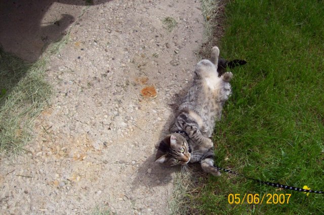 photo10.jpg