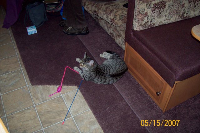 photo14.jpg