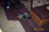 photo14_small.jpg