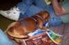 photo36_small.jpg