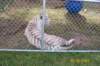 photo46_small.jpg