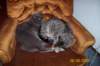 photo50_small.jpg