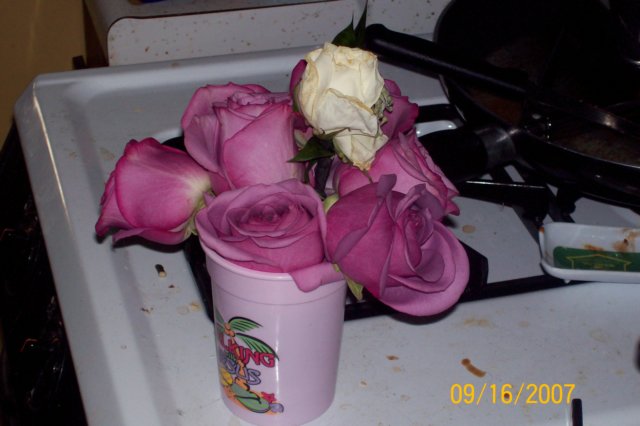 photo141.jpg