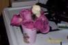 photo141_small.jpg