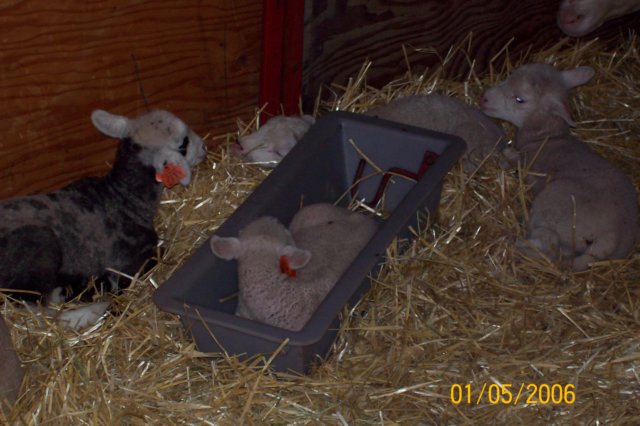 photo21.jpg