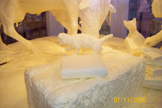 photo29.jpg