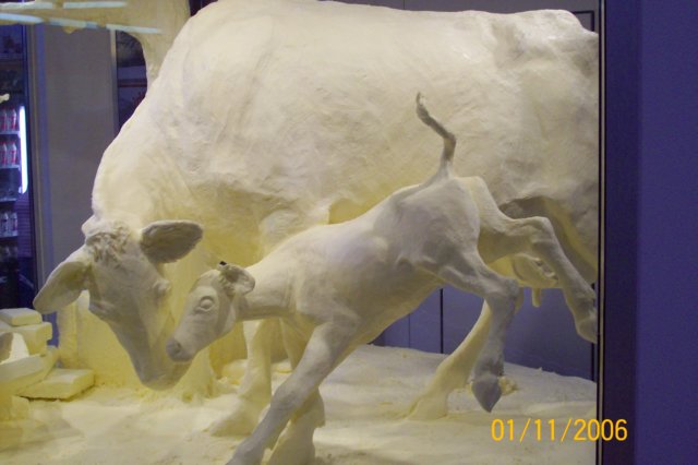 photo30.jpg