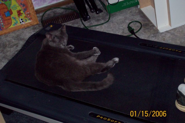 photo36.jpg