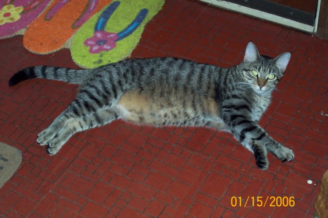 photo37.jpg