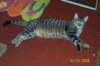 photo37_small.jpg