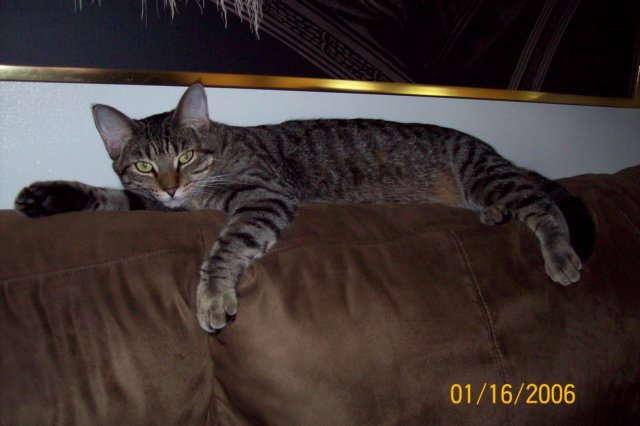 photo38.jpg
