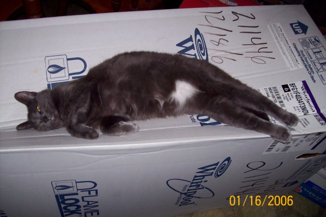 photo39.jpg