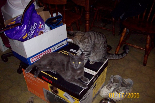 photo40.jpg