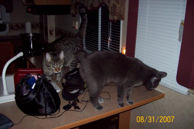 photo52.jpg