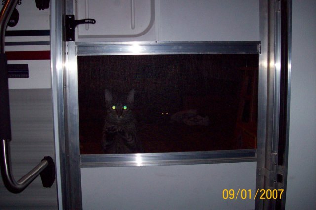 photo60.jpg