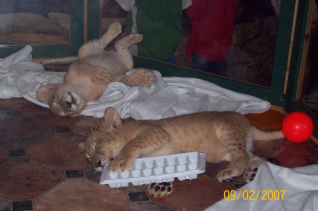 photo62.jpg