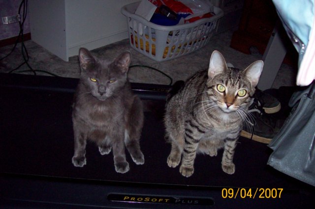 photo65.jpg