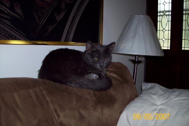 photo66.jpg