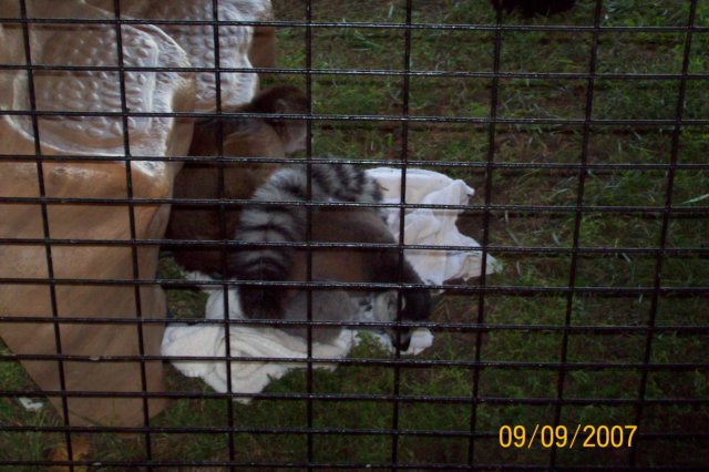 photo79.jpg
