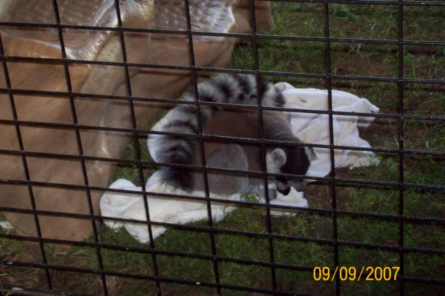 photo80.jpg