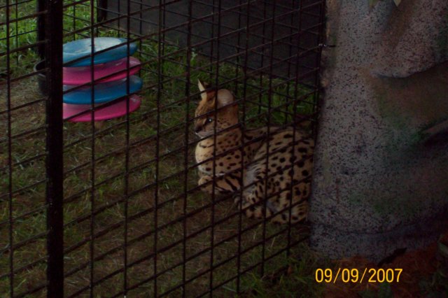 photo81.jpg