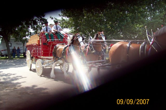 photo82.jpg