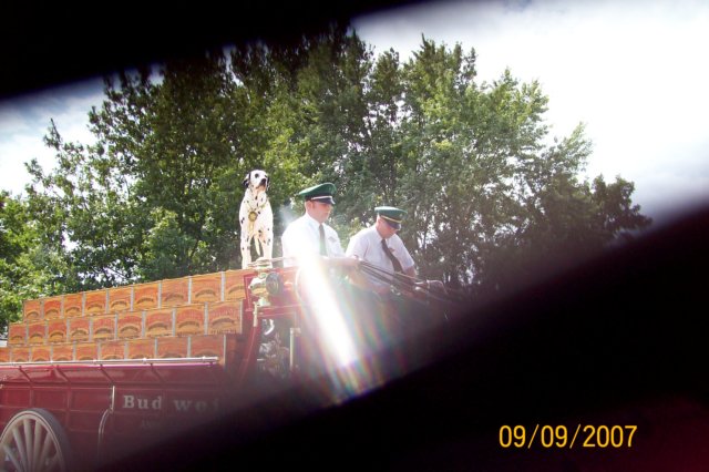 photo83.jpg