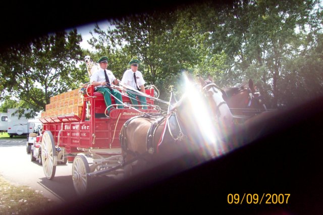 photo84.jpg