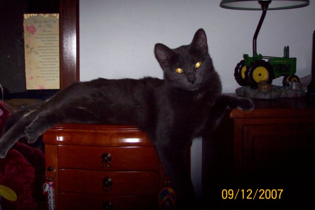 photo98.jpg
