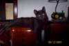 photo98_small.jpg