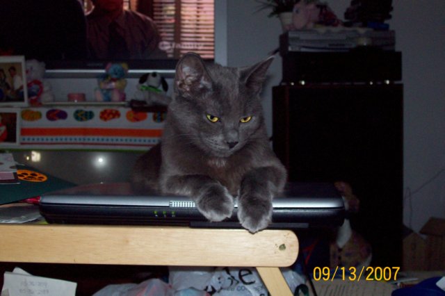 photo99.jpg