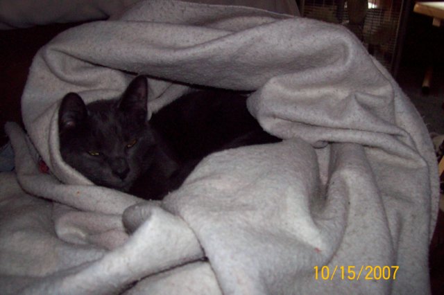 photo125.jpg