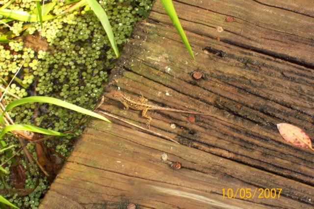 photo23.jpg