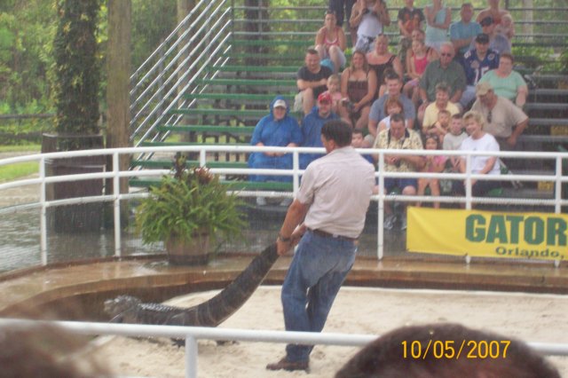 photo35.jpg