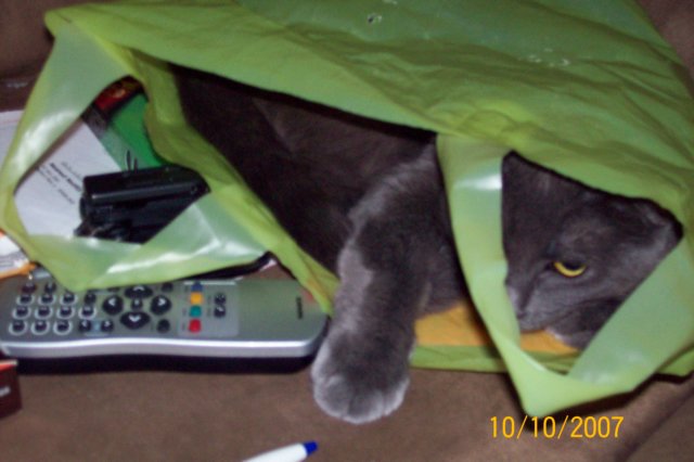 photo99.jpg