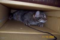 _0904_small.jpg