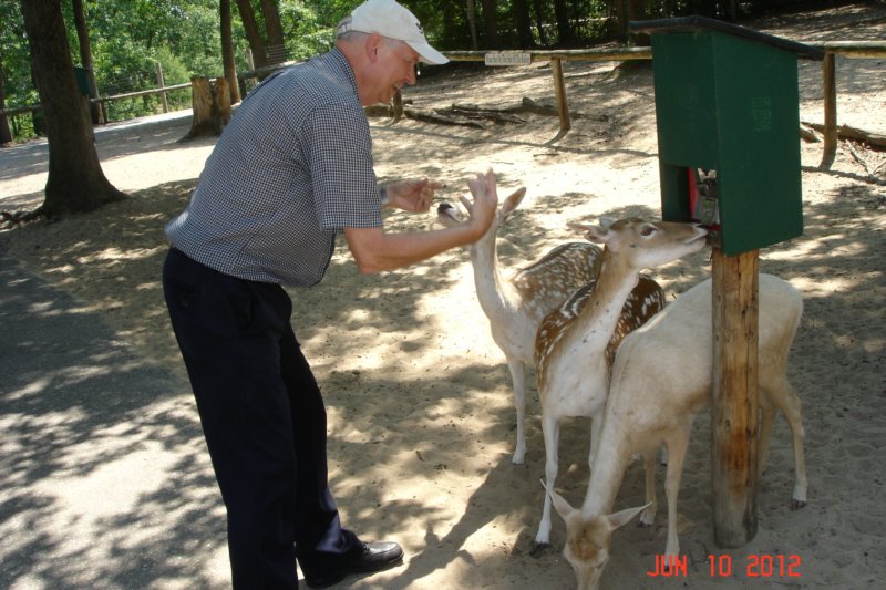 dsc03401.jpg