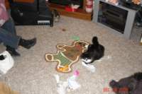 dsc02290_small.jpg