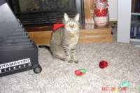 dsc02292_small.jpg