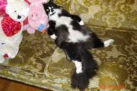 dsc02443_small.jpg