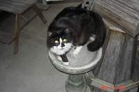 dsc02485_small.jpg