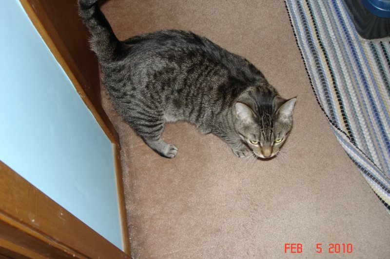 dsc02708.jpg