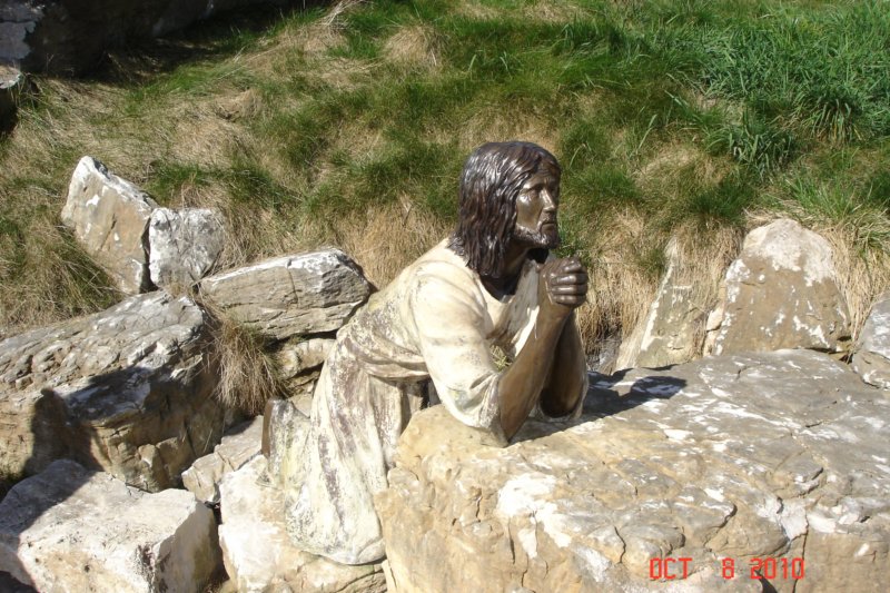 dsc02888.jpg